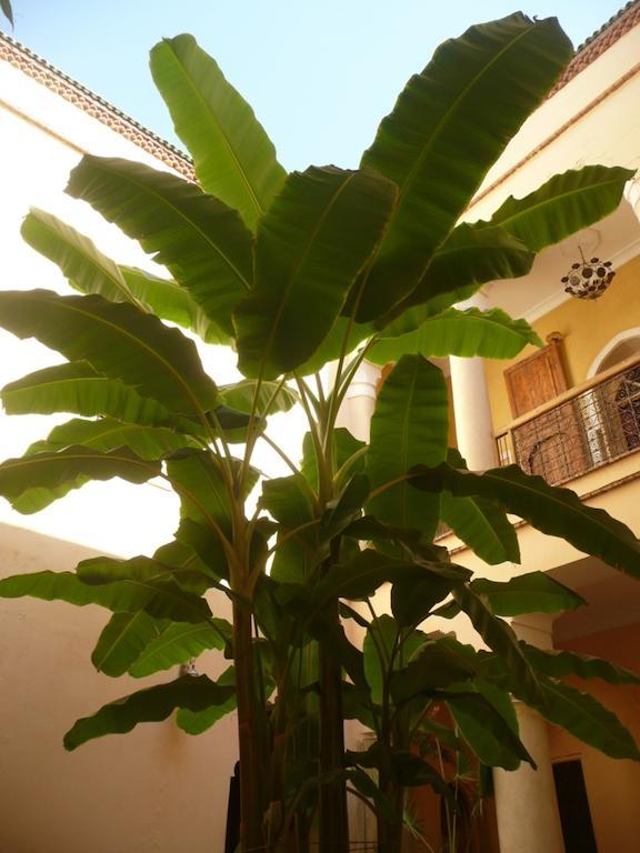 Riad Ker Saada Marrakesh Buitenkant foto